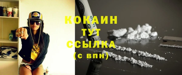 стафф Сясьстрой
